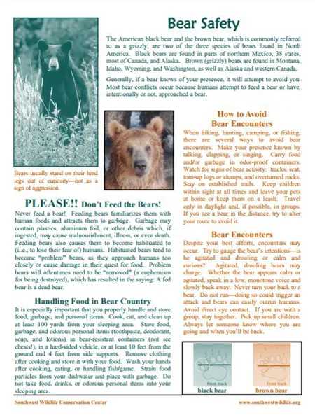 Bear Safety sheet