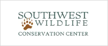 Southwest Wildlife