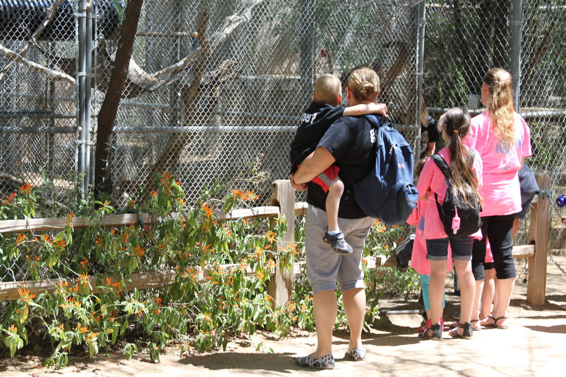 Visitors observing animals through a fence at a wildlife sanctuary.