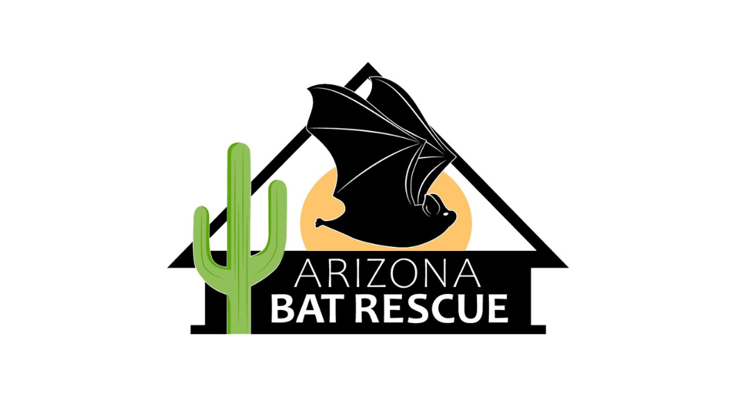AZ Bat Rescue