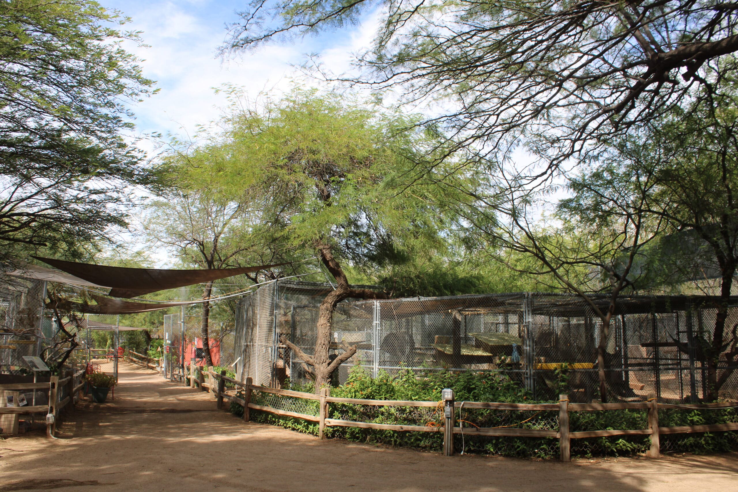 A wide range picture of Southwest Wildlife Conservation Center.